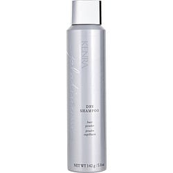 PLATINUM DRY SHAMPOO HAIR POWDER