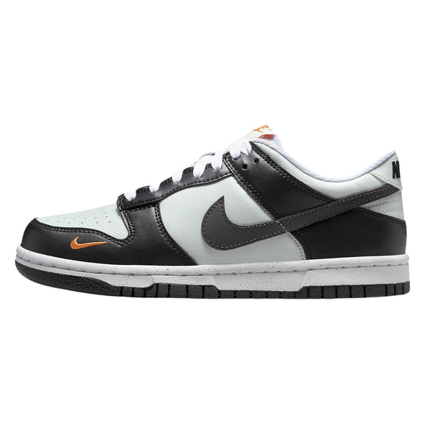 Nike Dunk Low Gs Big Kids Style : Fn7784