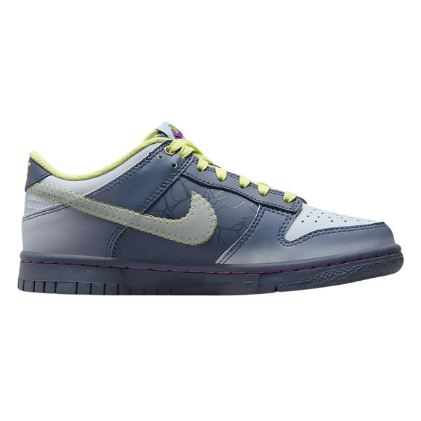 Nike Dunk Low Bg Big Kids Style : Fq8354