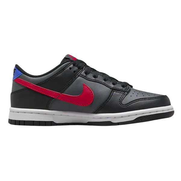 Nike Dunk Low Gs Big Kids Style : Fv0373