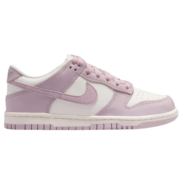 Nike Dunk Low (Gs) Big Kids Style : Fb9109