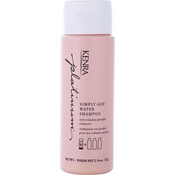 PLATINUM SIMPLY ADD WATER SHAMPOO
