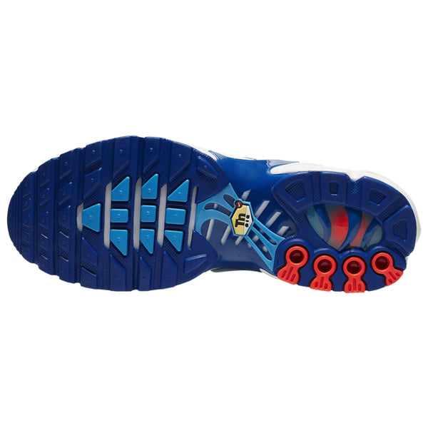 Nike Air Max Plus Big Kids Style : Cq9893-400