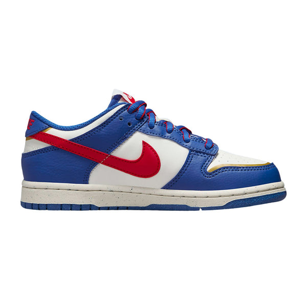 Nike Dunk Low Ps Nn Little Kids Style : Fd0673-400