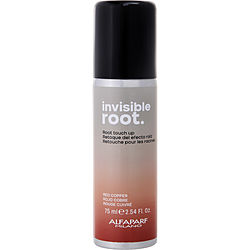 INVISIBLE ROOT TOUCH UP SPRAY RED COPPER
