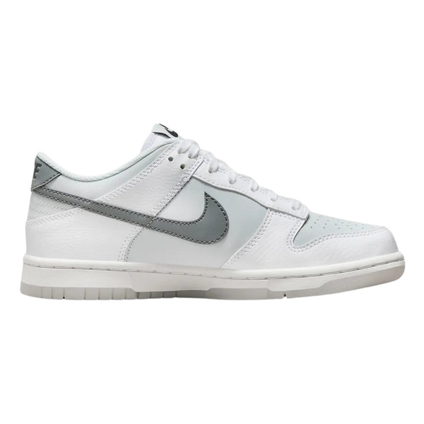 Nike Dunk Low Gs Big Kids Style : Fv0365