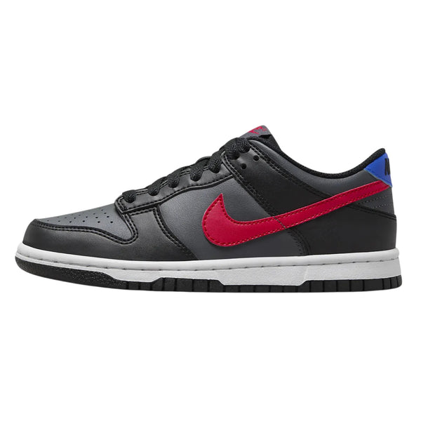 Nike Dunk Low Gs  Big Kids Style : Fv0373