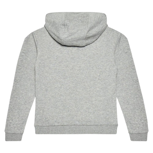 Adidas Trefoil Hoodie Big Kids Style : Ge1979