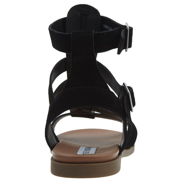 Steve Madden Gladiator Sandals Womens Style : Delmar