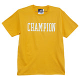 Champion Graphic Jersey Tee Mens Style : Gt23h
