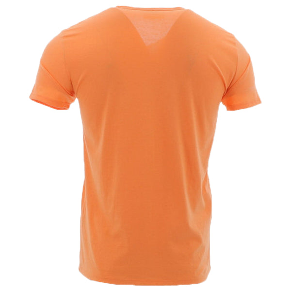 Lacoste V-neck Pima Cotton Jersey T-shirt Mens Style : Th6710 51